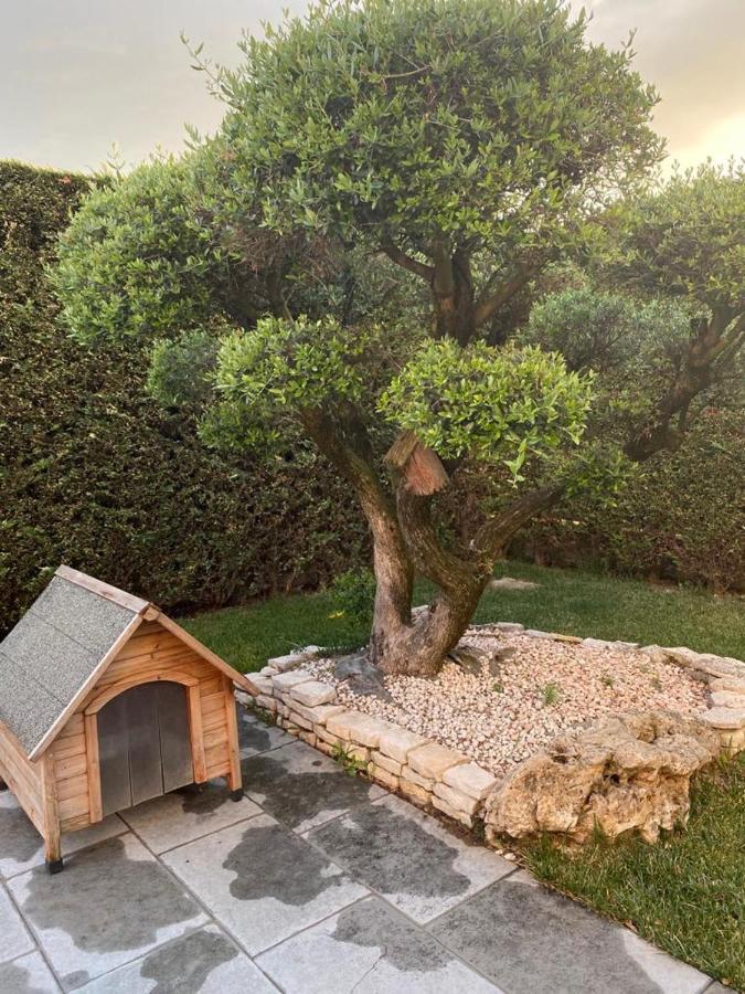 Bed and Breakfast Wooden House Montegrotto Terme Exterior foto